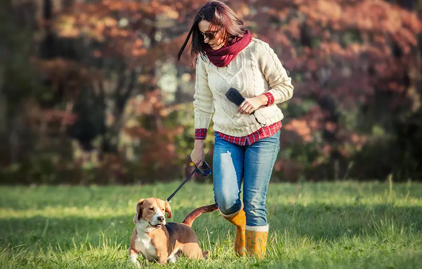 5 Best Anti Barking Devices of 2025: Humane & Vet‑Approved Picks