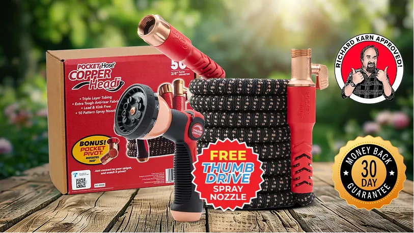 Group 469584.png.webp