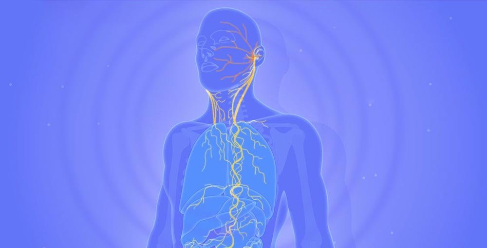 5 Best Vagus Nerve Stimulation Devices of 2025: Find Your Calm.