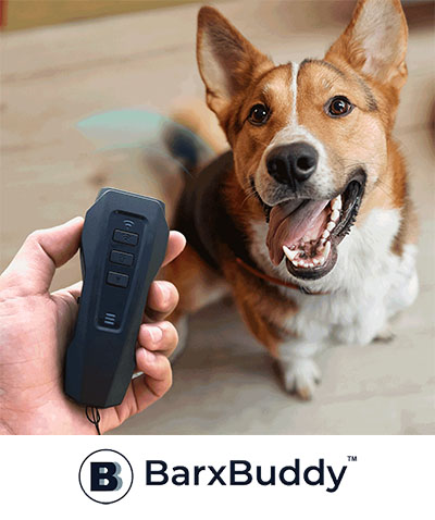 BarxBuddy
